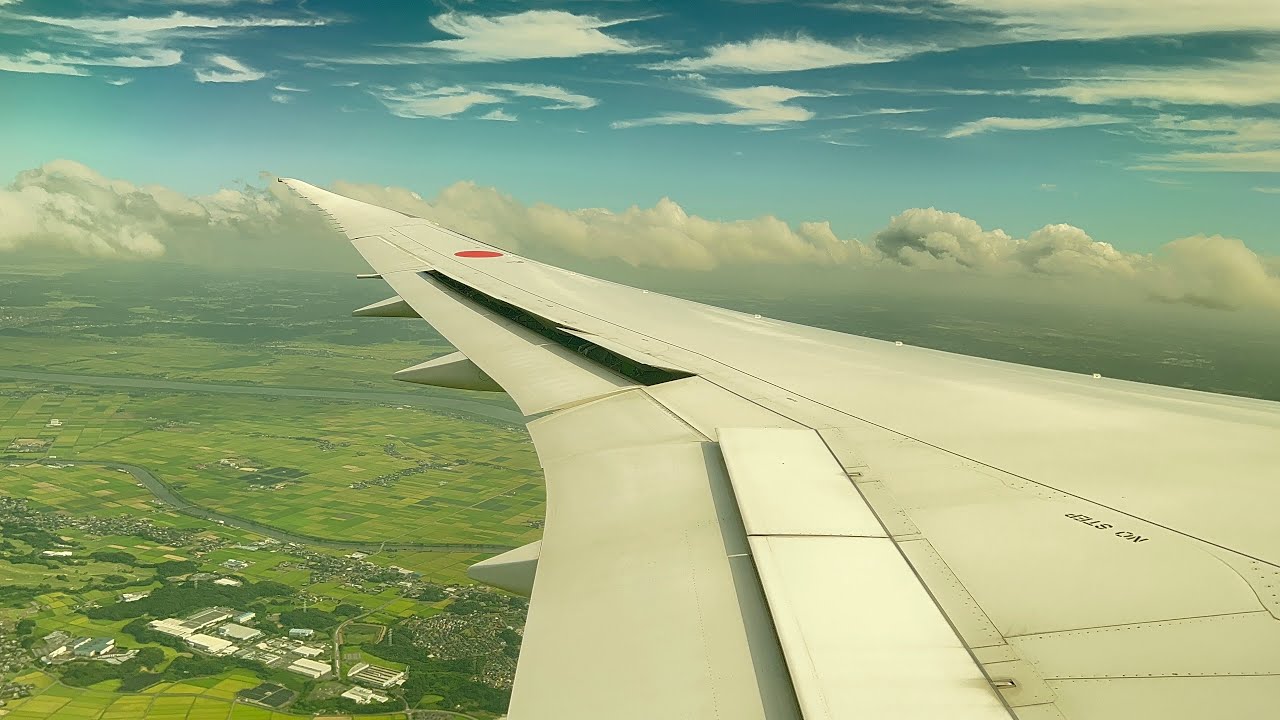 Most beautiful landing I've ever captured on ANA 787-8 Landing at Tokyo Narita Airport