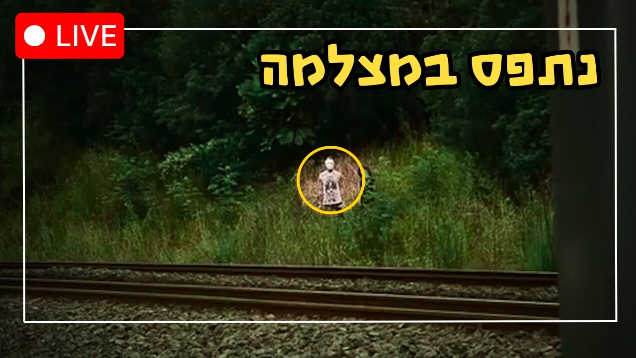 6 רגעים מצמררים מהיערות שתועדו במצלמה