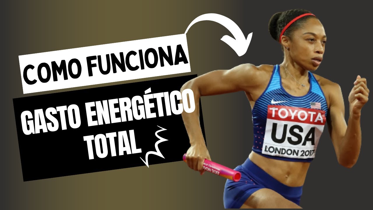 O que você precisa saber sobre GASTO ENERGÉTICO TOTAL? [Nutrição]