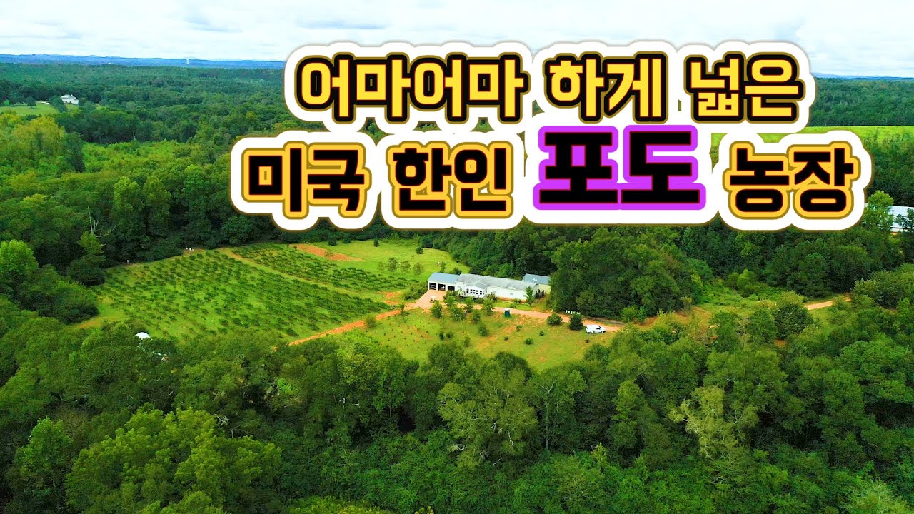 미국 조지아주 귀농 한인의 포도밭 그 사나이