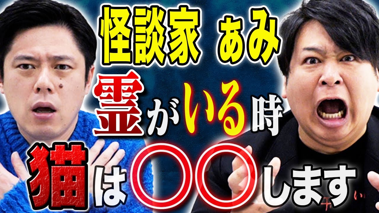 【怪談家ぁみ】霊感があるのは人だけじゃない、、、猫にまつわるちょっと変わった怖い話