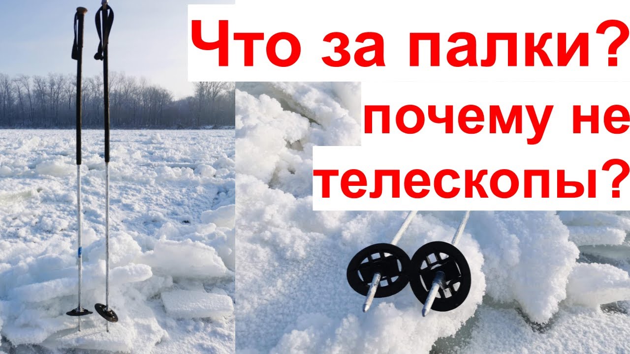 Лучшие лыжные палки для походов