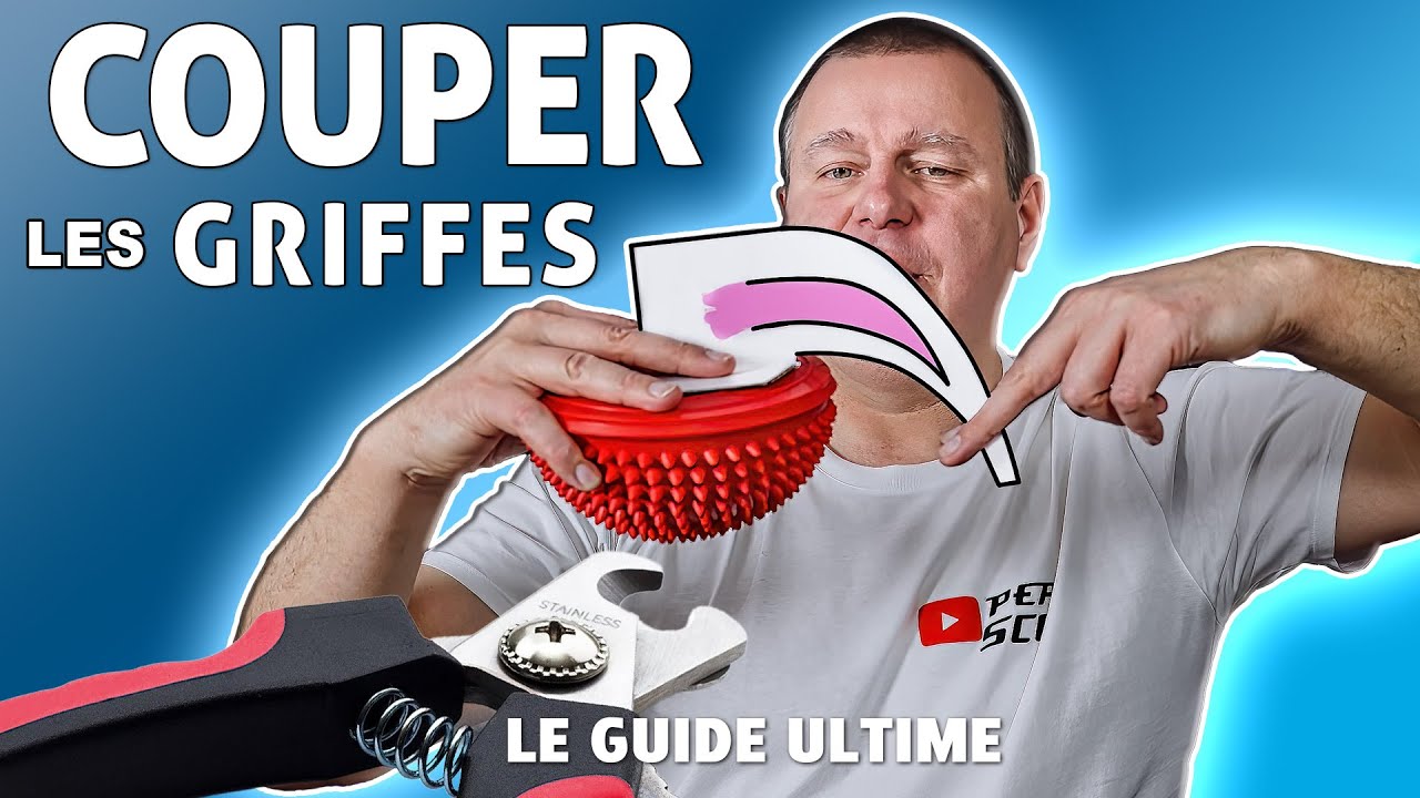 COUPER les ONGLES du CHIEN - GUIDE COMPLET