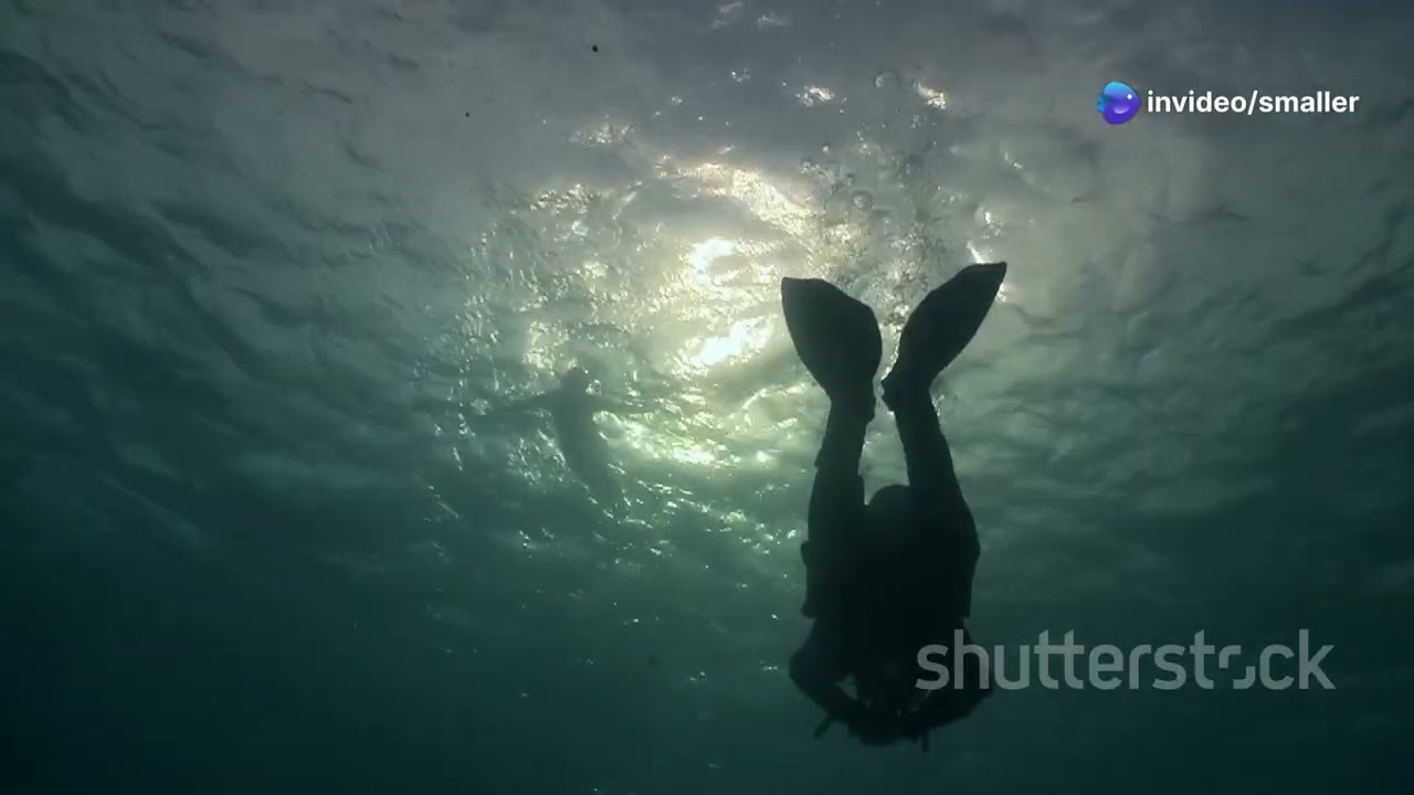 Secret Lives of Sea Insects – A Journey into the Hidden World of Ocean Arthropods