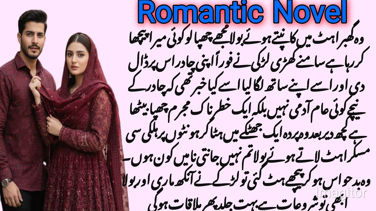 Romantic Novel |