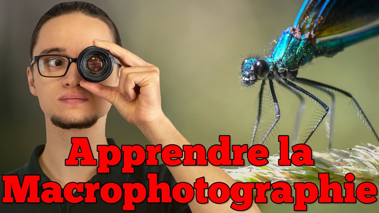 Comment Faire de la Macro Photographie ?   [ Techniques ]