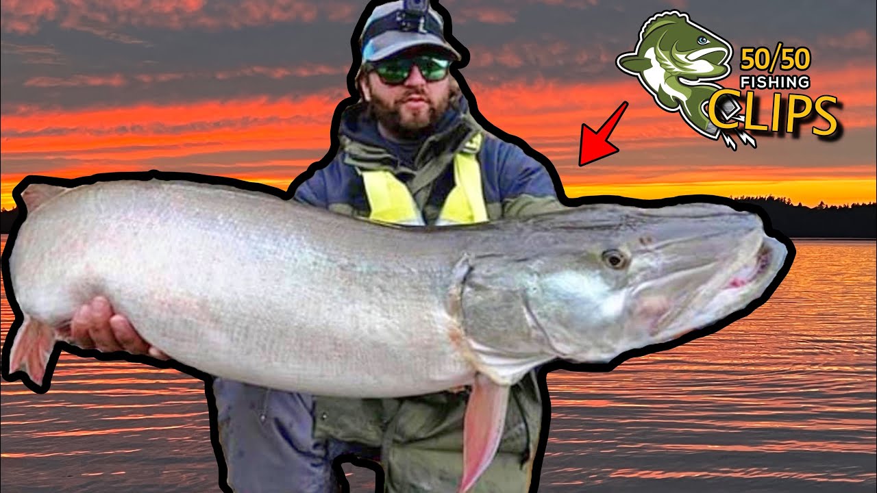 GIANT 50 INCH MUSKY CAUGHT FROM A KAYAK!