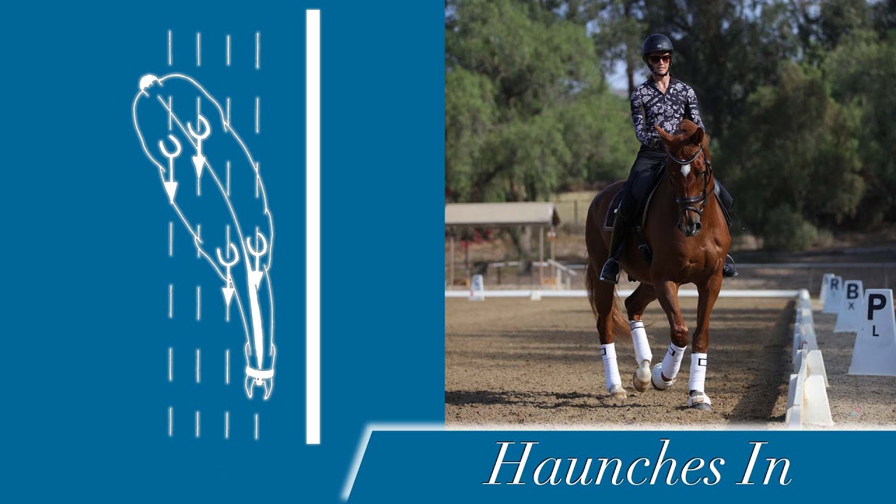 How is your Haunches-In?