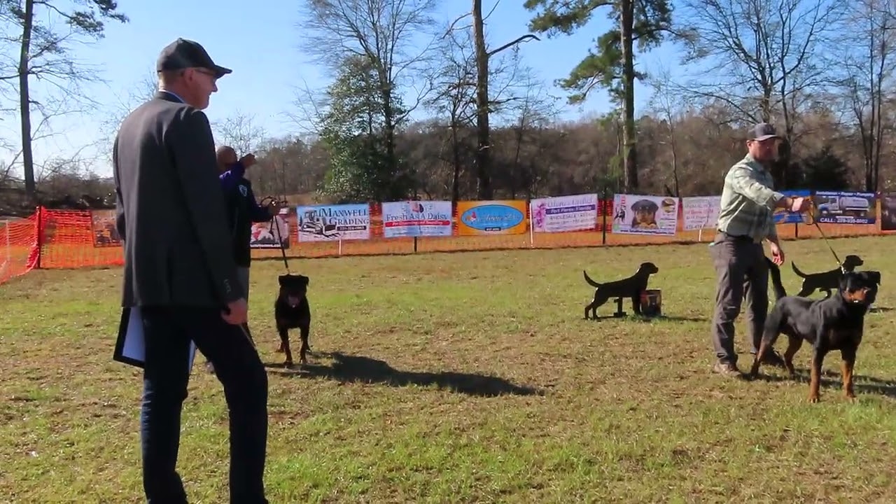 2026-Mar-1 - Intermediate males selection of winners