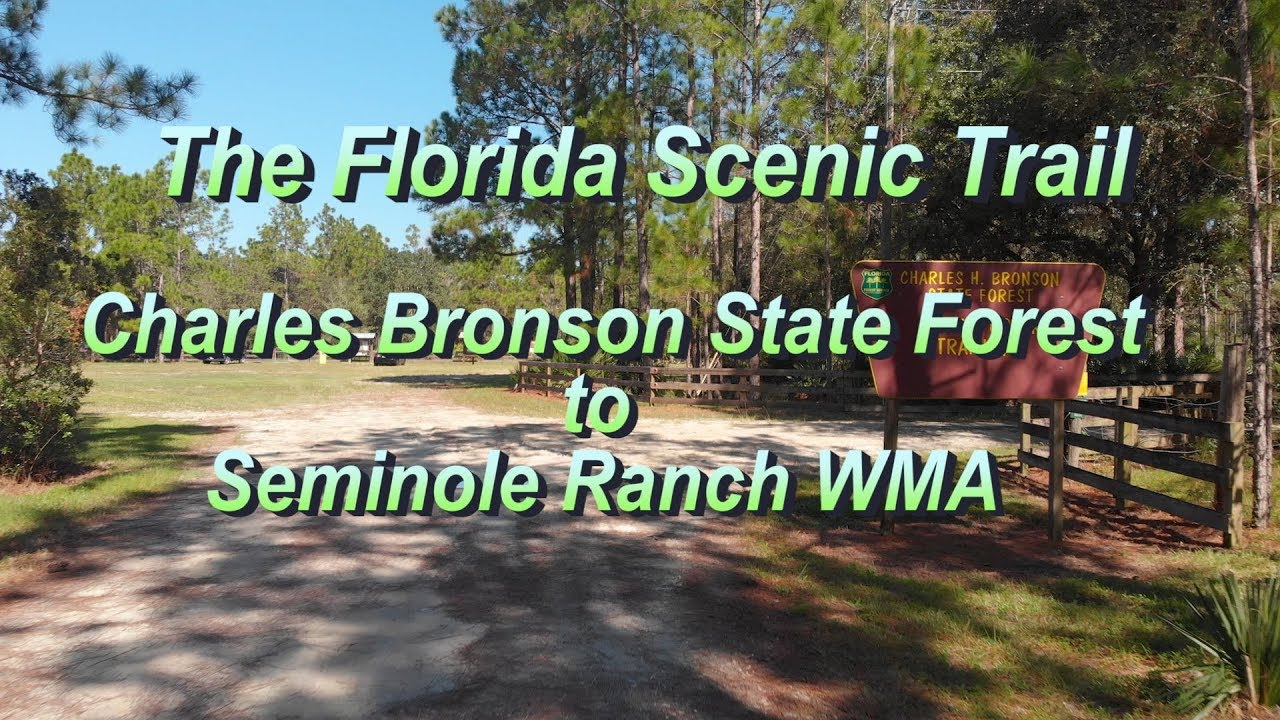 Florida Trail, Charles Bronson  State Forest To St. Johns River