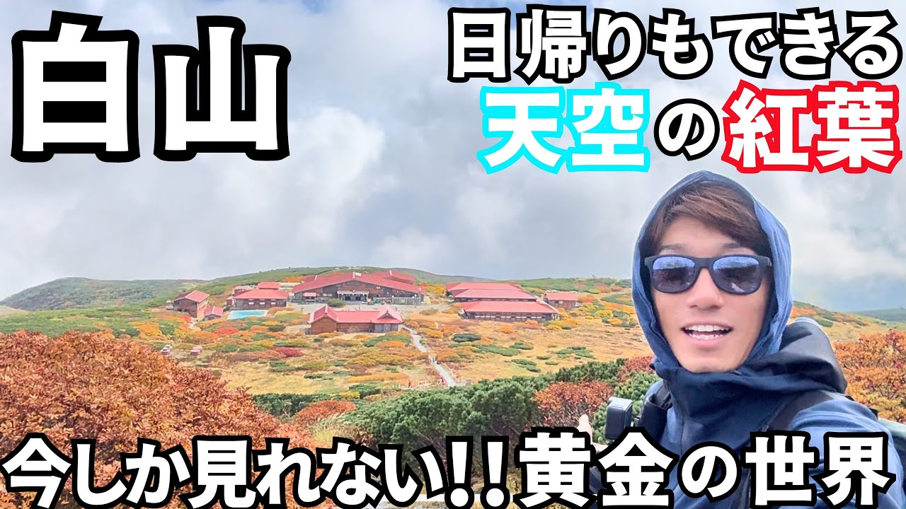 見逃すと後悔！黄金の染まる白山の紅葉絶景！