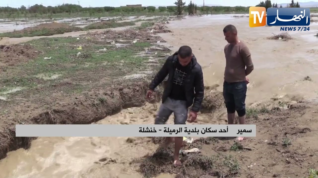خنشلة: خسائر كبيرة تكبدها الفلاحون بمنطقة الرميلة بعد التساقطات المطرية الأخيرة