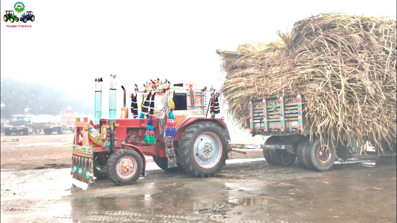 Belarus 512 | Showing Power in Rain🌧 Pulling Sugarcane Trailer Tractor Stunt