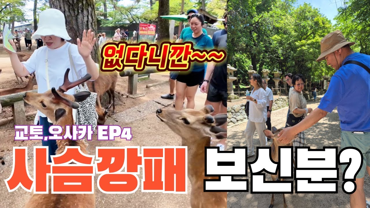 오사카 여행시 필수 코스 일까요? 안 가려다 그냥 가봤습니다^^🦌 (나라 당일치기)