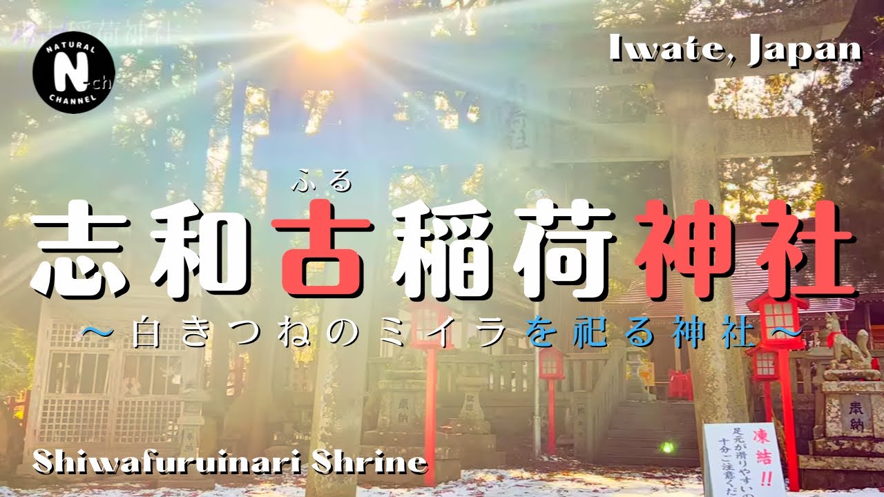 【驚愕】神々しい光と神風⁉️白キツネのミイラを祀る志和古稲荷神社【パワースポット】