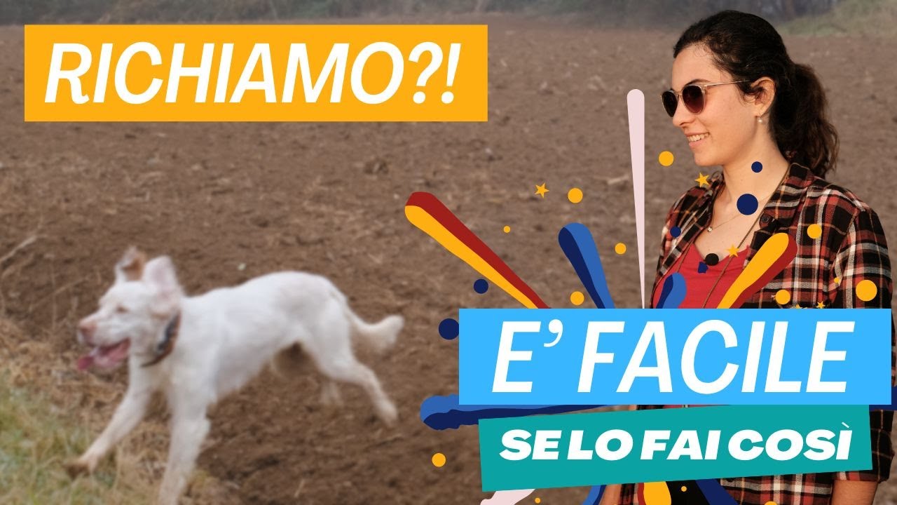 Insegna al tuo cane un RICHIAMO INFALLIBILE:  E' FACILE segui questi 3 step.  GARANTITO!