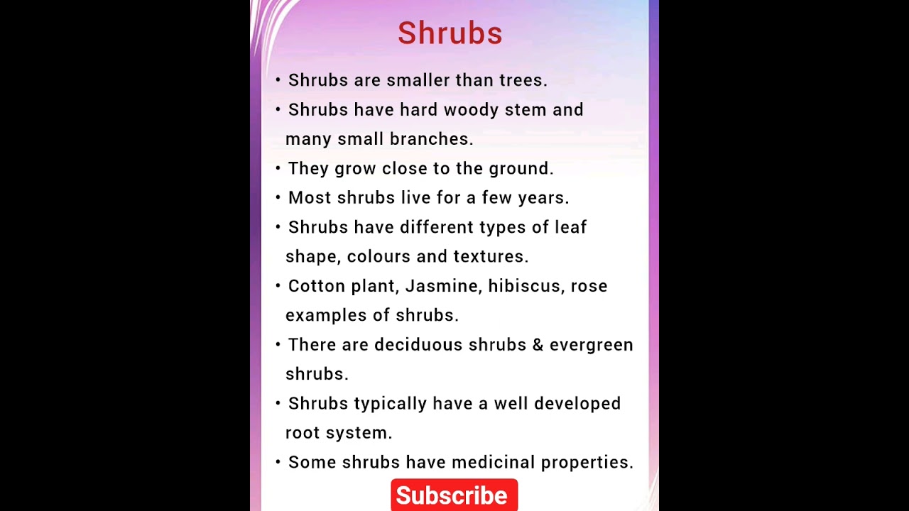 #shrubs#types of plants#essay on shrubs