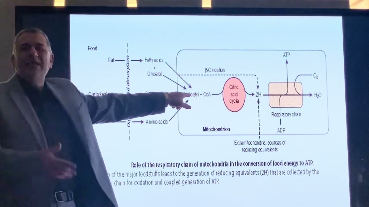 صيدلة مرحلة ثالثة/ بايو كمستري metabolism 