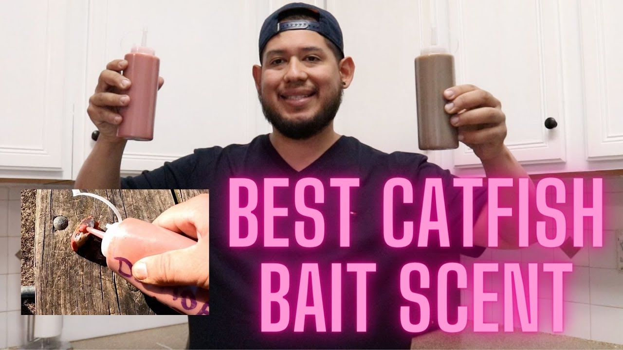 BEST CATFISH BAIT SCENT | Homemade baits | Catch more fish with this!!!