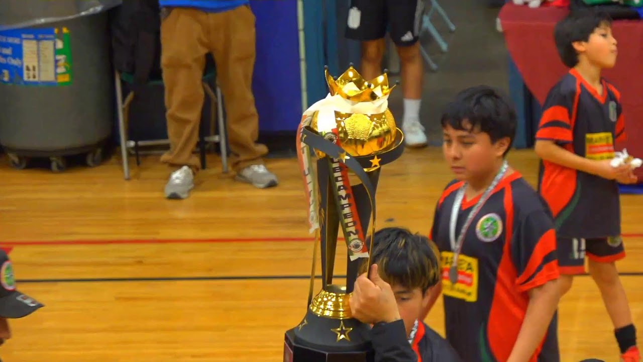 LIGA LATINOS UNIDOS DE BROOKLYN