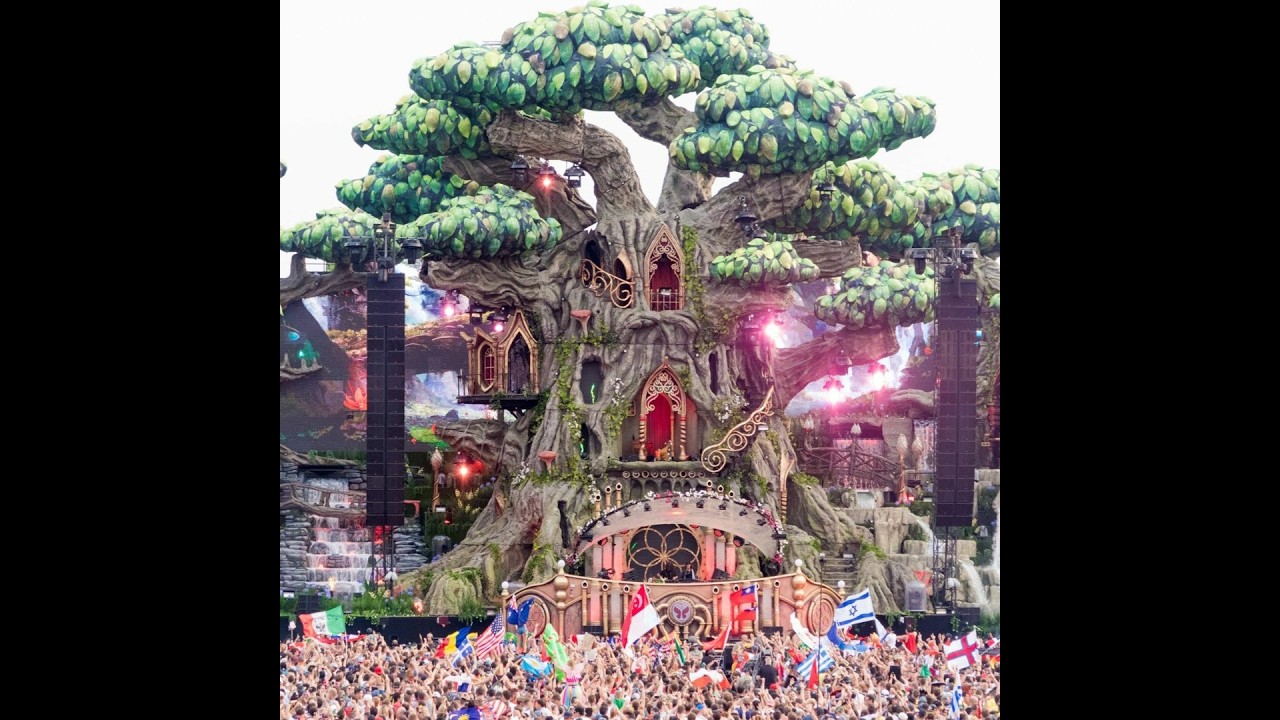 Tomorrowland  2013-14-16 REMIX DJ. Valentin