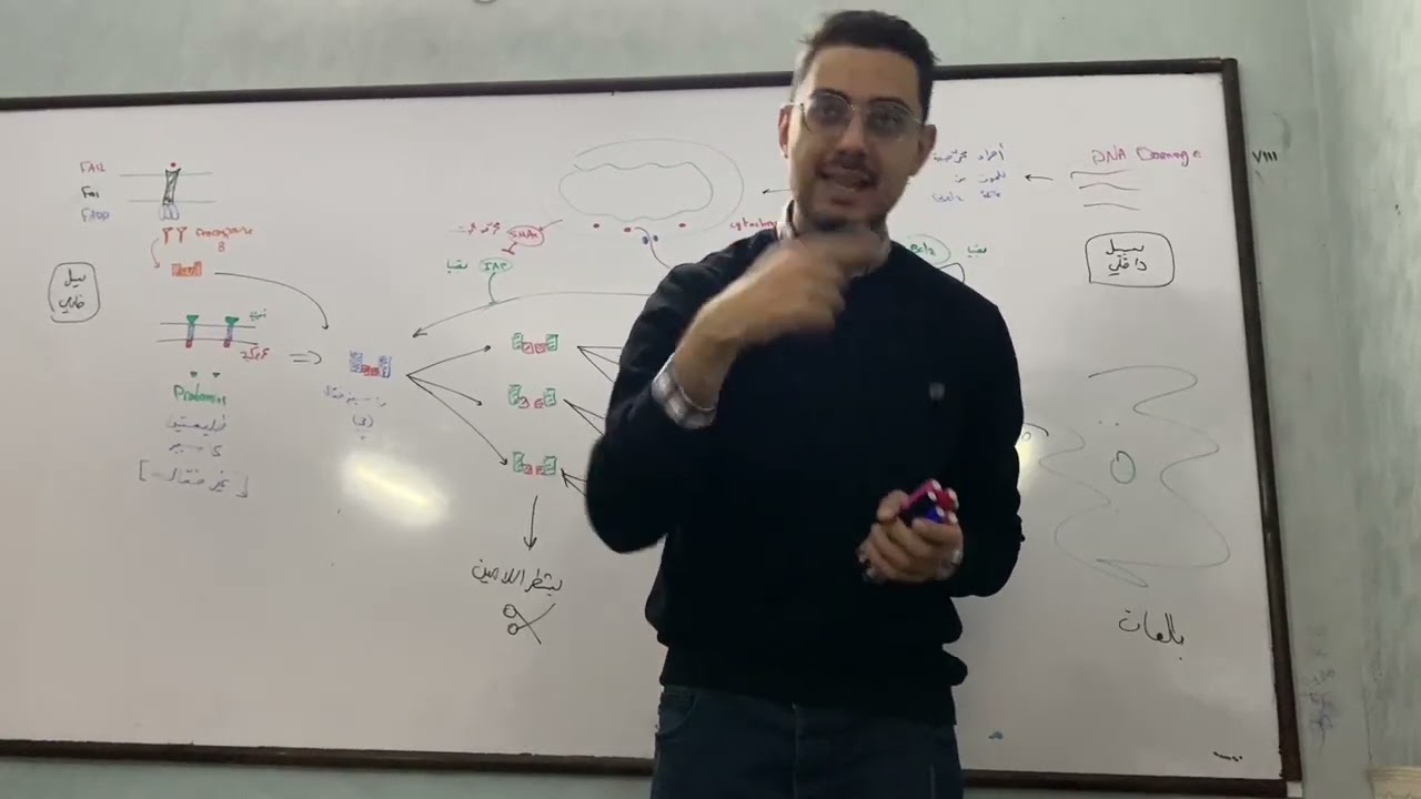 الاستموات - الفصل ١٢