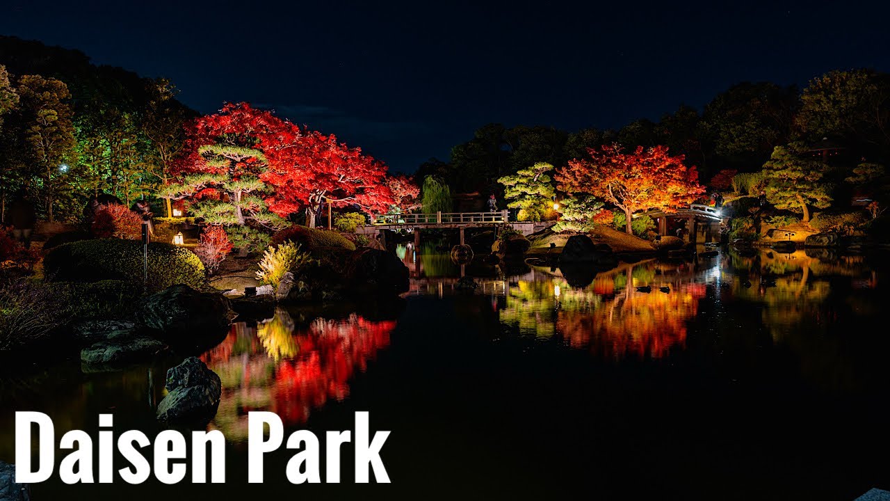 大仙公園 日本庭園の紅葉 Osaka Night Walk - Autumn leaves at Daisen Park 4K HDR Japan