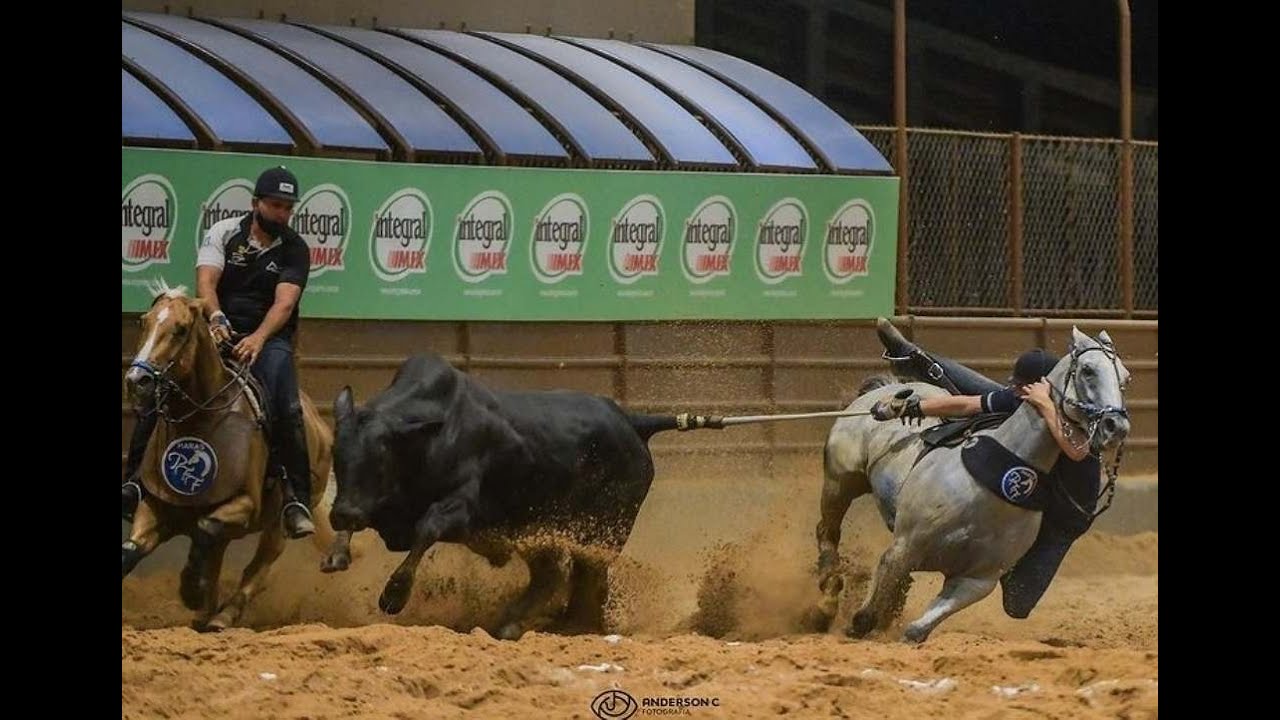 Profissional - Parque Cibão - 2009