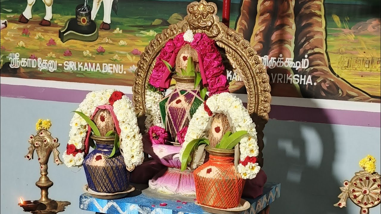 SANI PEYARCHI PARIGARA YAGAM 2026 NAVAGRAHA KOTTAI WALAJA PET TEMPLE 