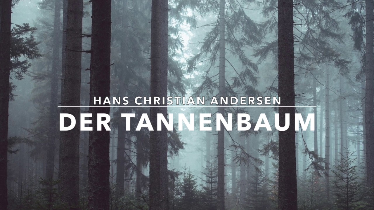 Der Tannenbaum | Märchen von Hans Christian Andersen | gelesen von René Träder | Hörbuch