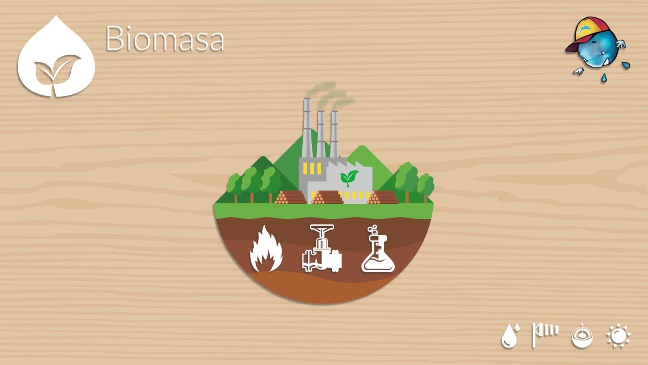 Explainer video - odnawialne źr&oacute;dła energii
