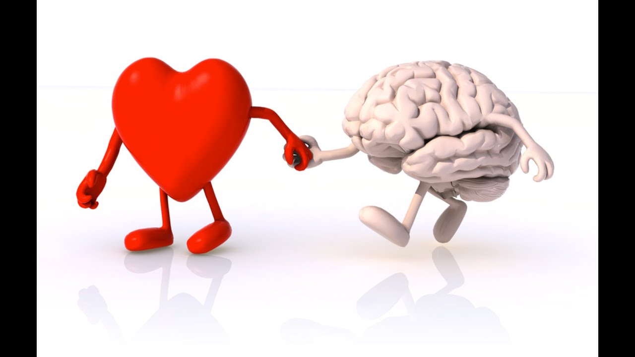 DAY 12 இருதயம்! ஏன்? HEART WHY?