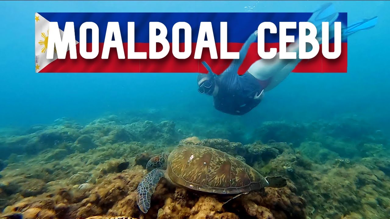 A DAY in MoalBoal Cebu 🇵🇭 the Philippines