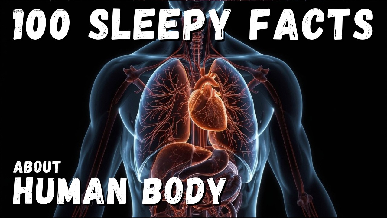 100 Relaxing Human Body Facts to Fall Asleep To (1.5 Hours Calm Space Documentary)