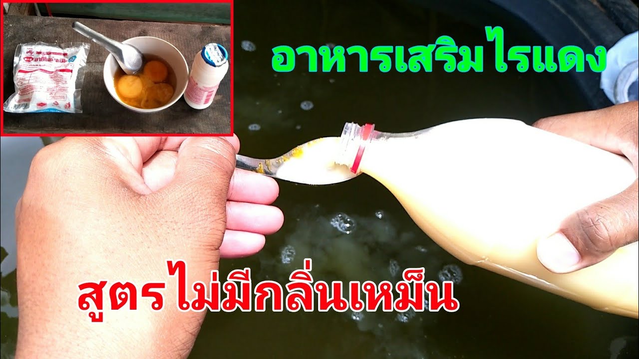 อาหารเสริมไรแดงสูตรไม่มีกลิ่นเหม็น