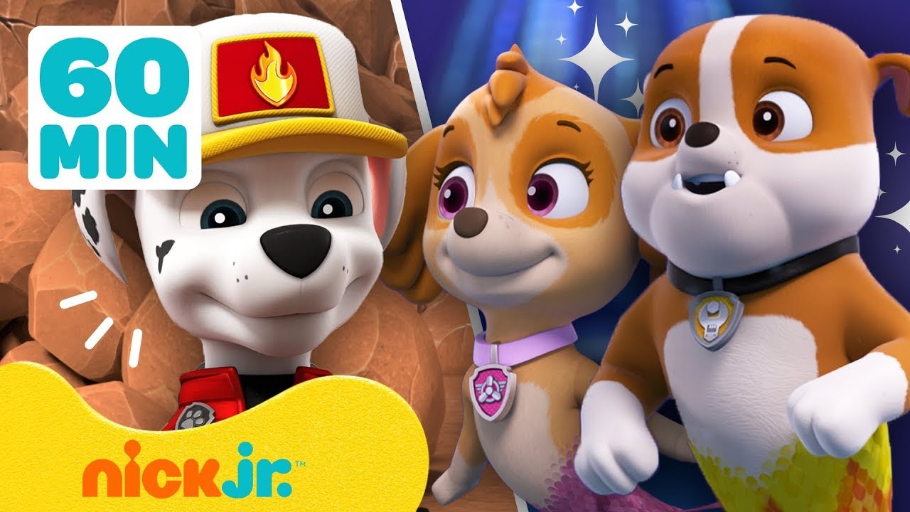 &iexcl;Rescates en tierra y mar de PAW Patrol! Con Zuma, Chase y Tracker | Compilaci&oacute;n de 60 minutos