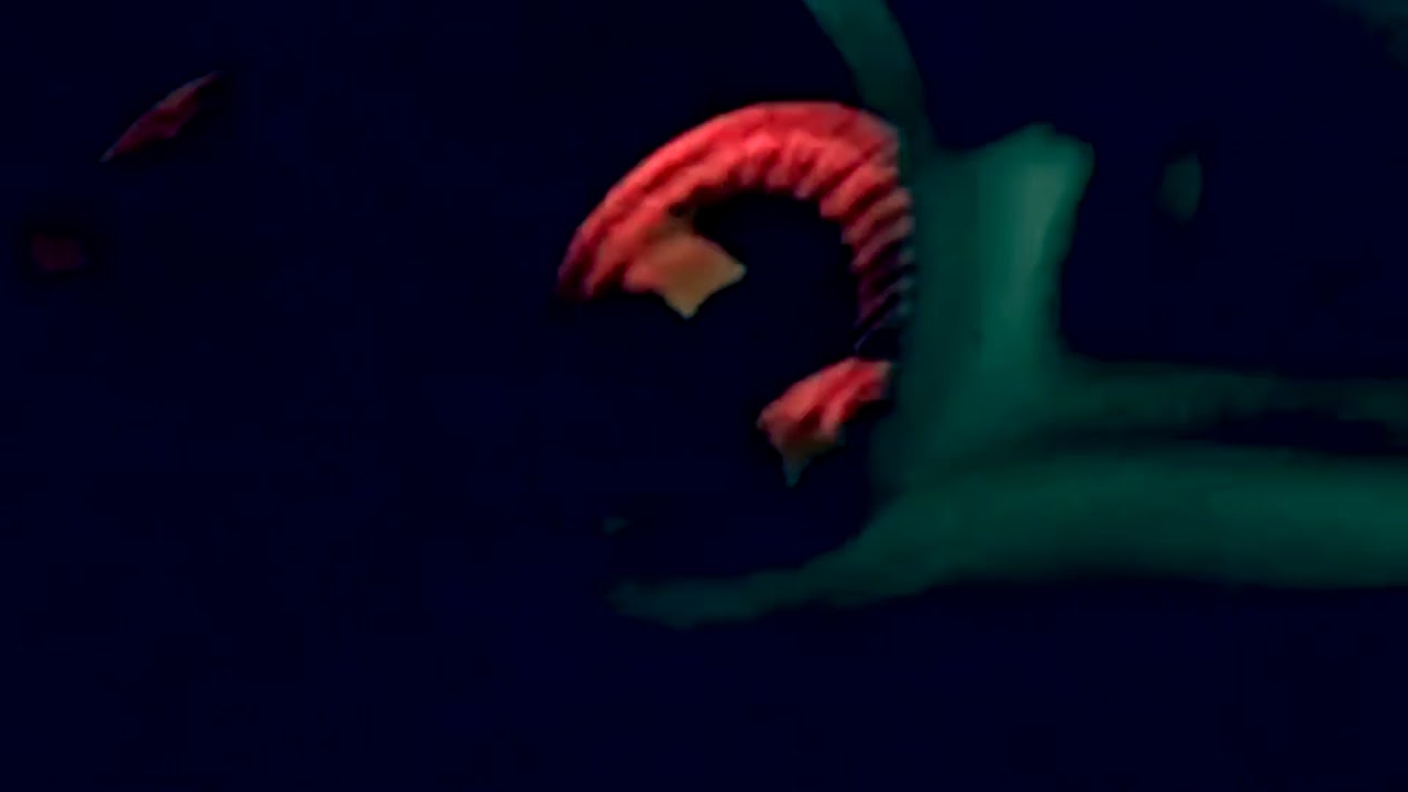 yer killing me - remo drive (unofficial music video)