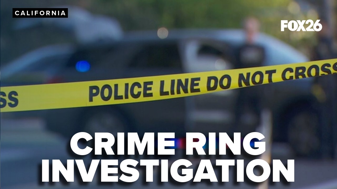 Investigation of a theft ring in