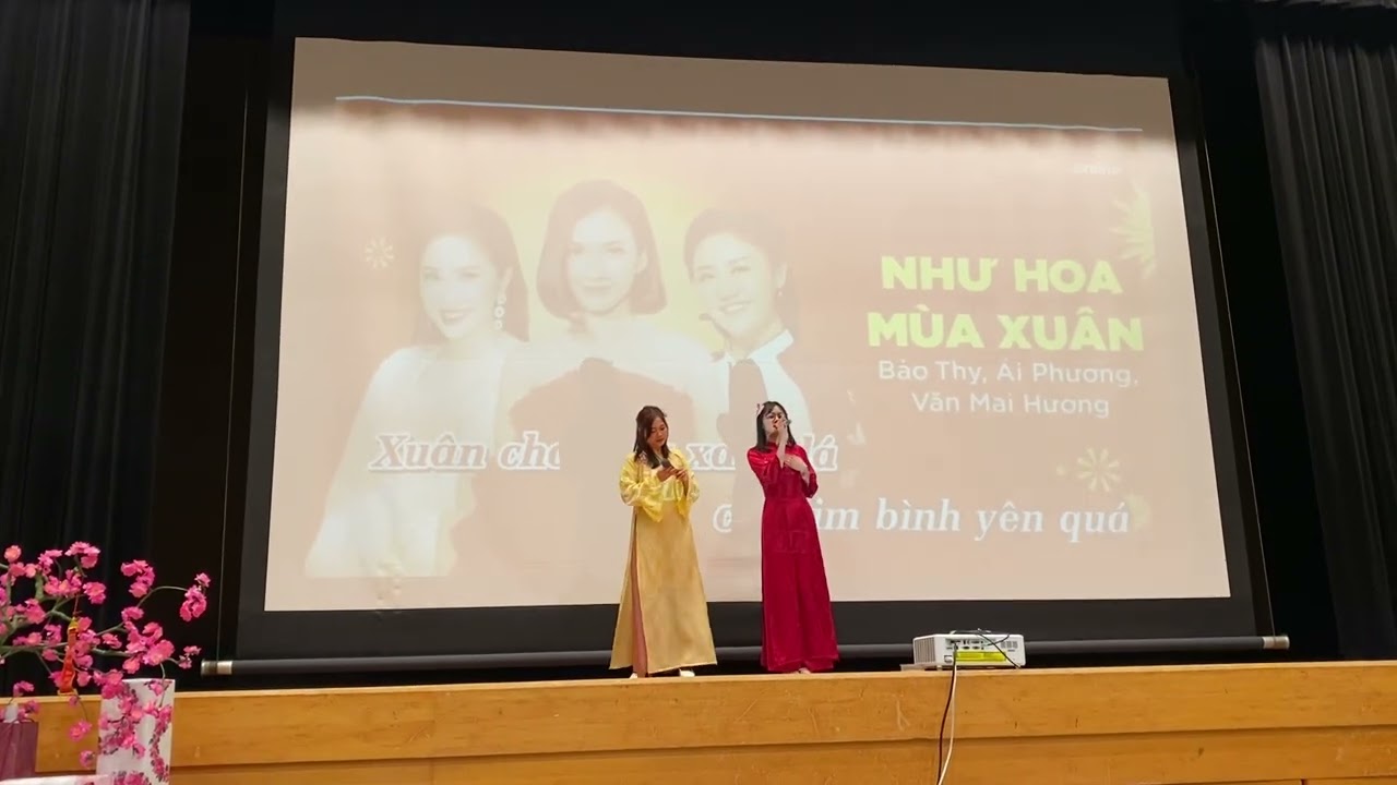 Như Hoa Mùa Xuân || Song ca Tết 2026 Nagoya