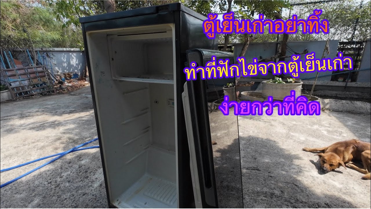 ทำตู้ฟักไข่จากตู้เย็นเก่าง่ายกว่าที่คิด ￼