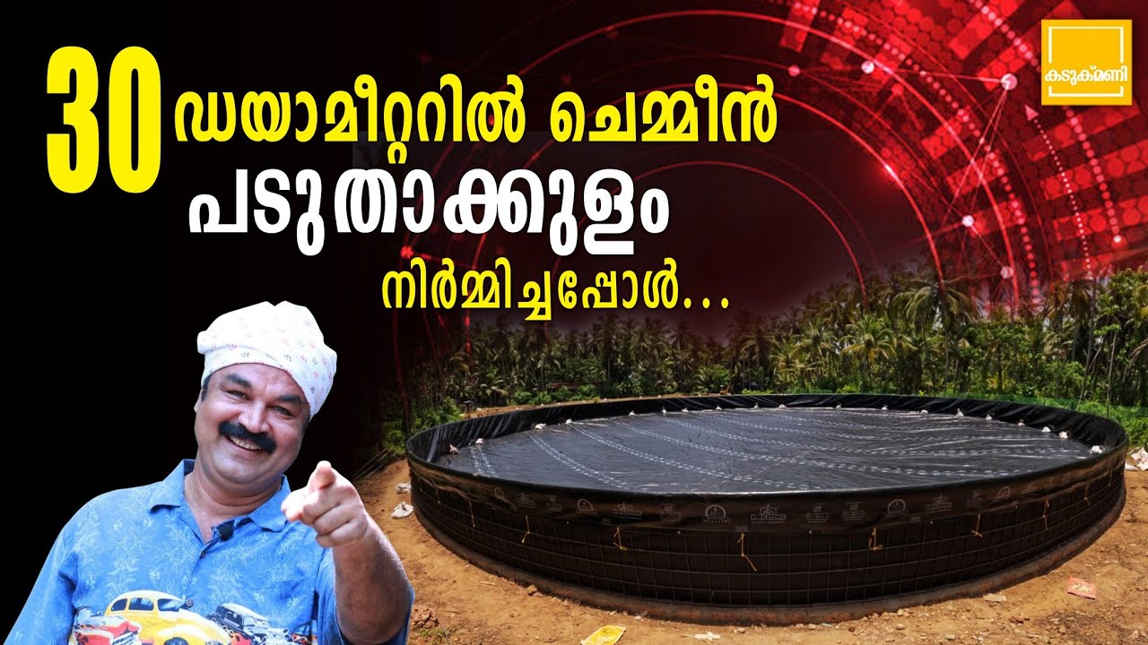 വനാമി ചെമ്മീൻ കൃഷി ചെയ്യാൻ പടുതാക്കുളം എങ്ങനെ ഒരുക്കാം | Shrimp Farming Padutha Kulam Making