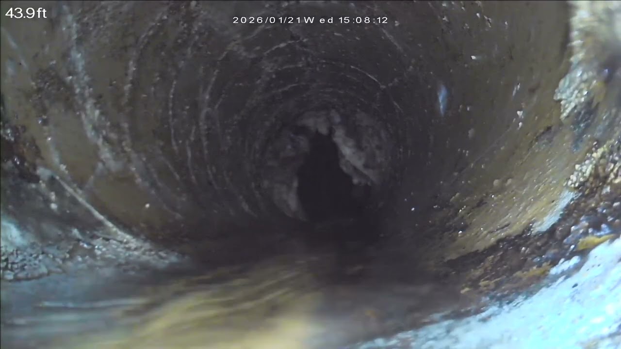 Wolgast St, Warren, Sewer Scope