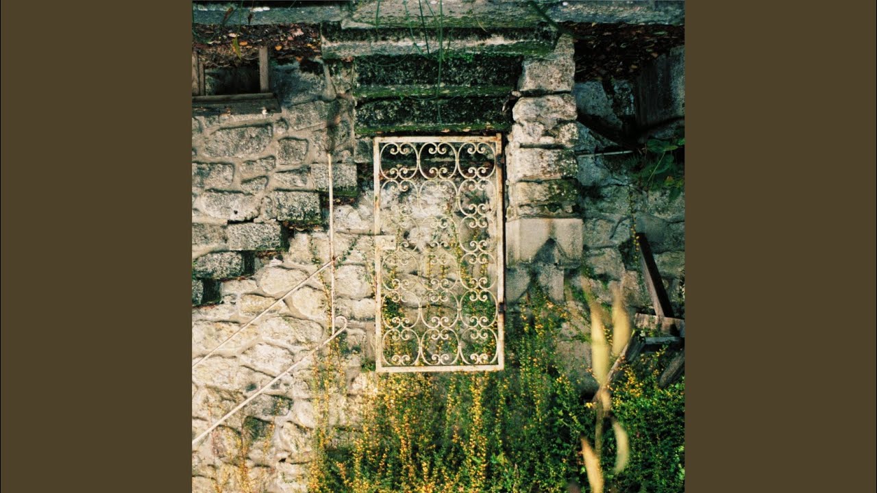 Collapse (Extended)