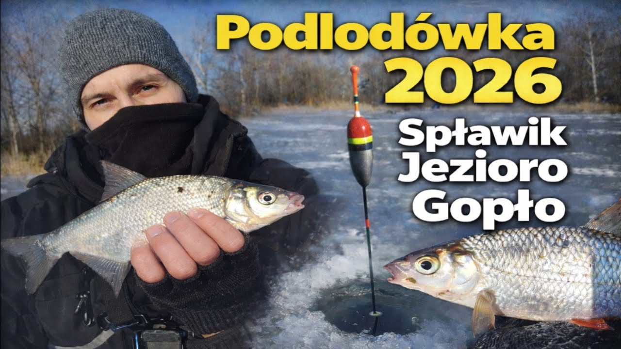 PODLODÓWKA 2026 SPŁAWIK NA JEZIORZE GOPŁO