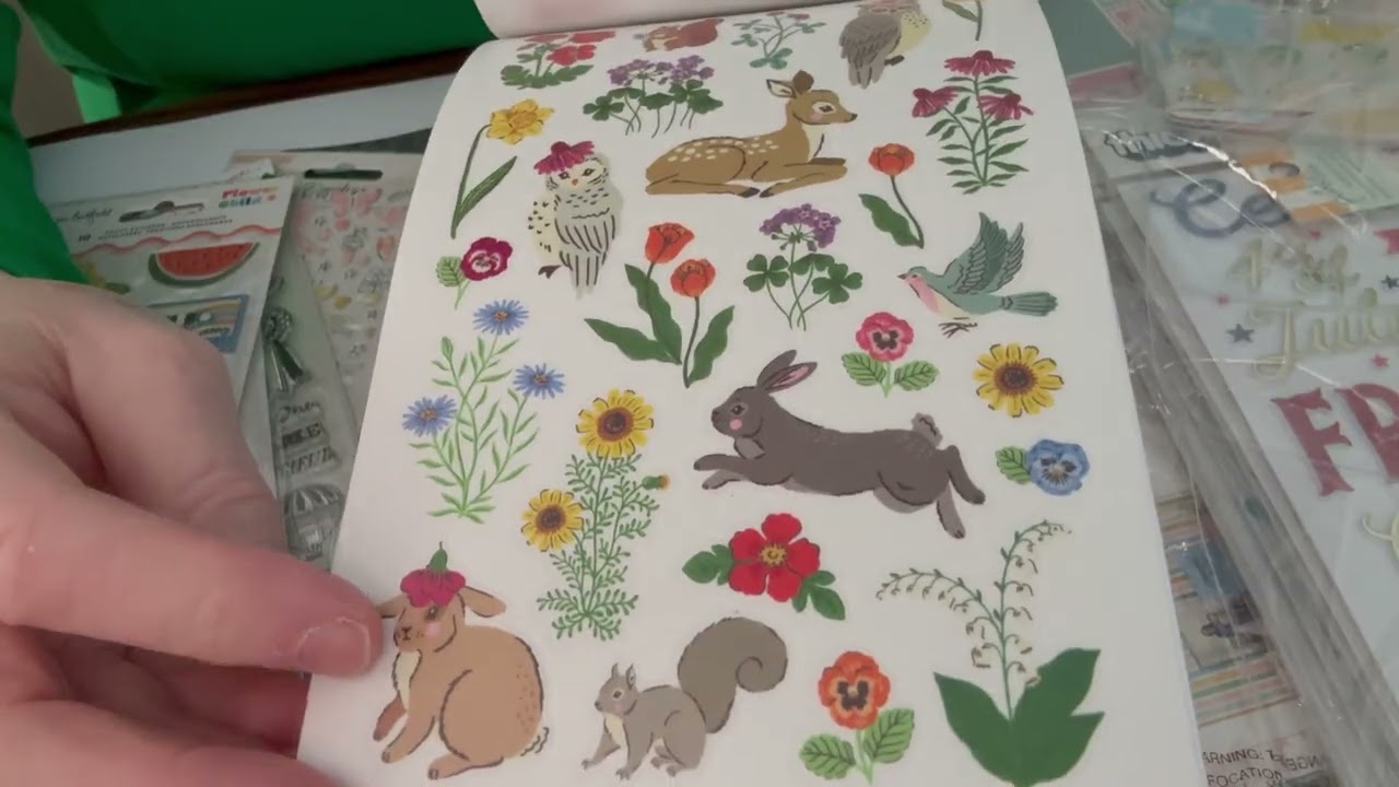 American Crafts Haul #americancrafts #papercraft #haul 