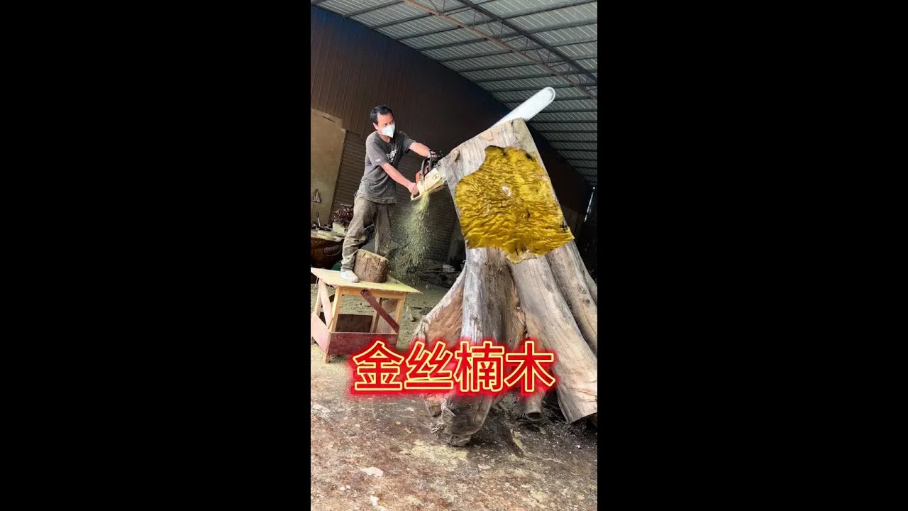 Golden osmanthus root tea table 