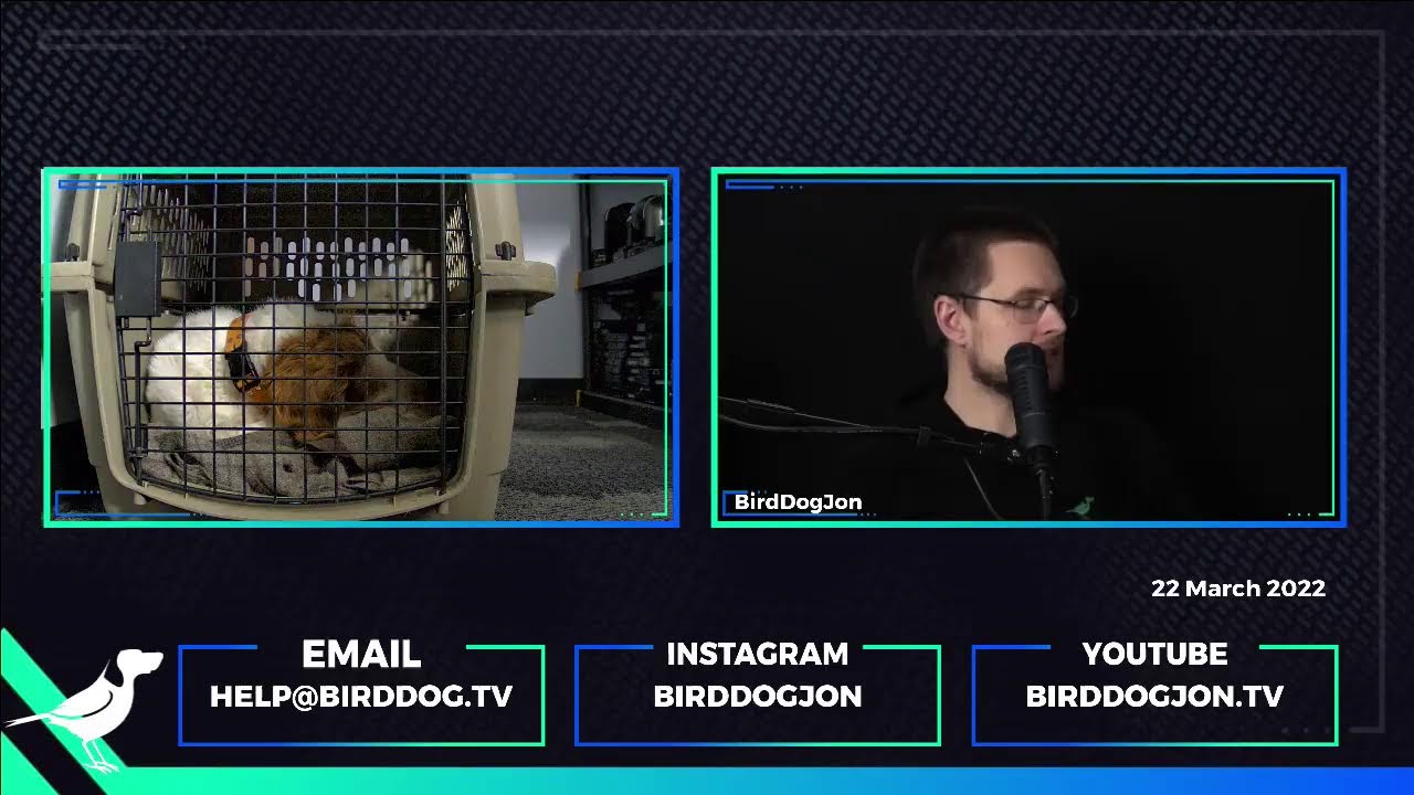 NDI Chat w/ BirdDogJon