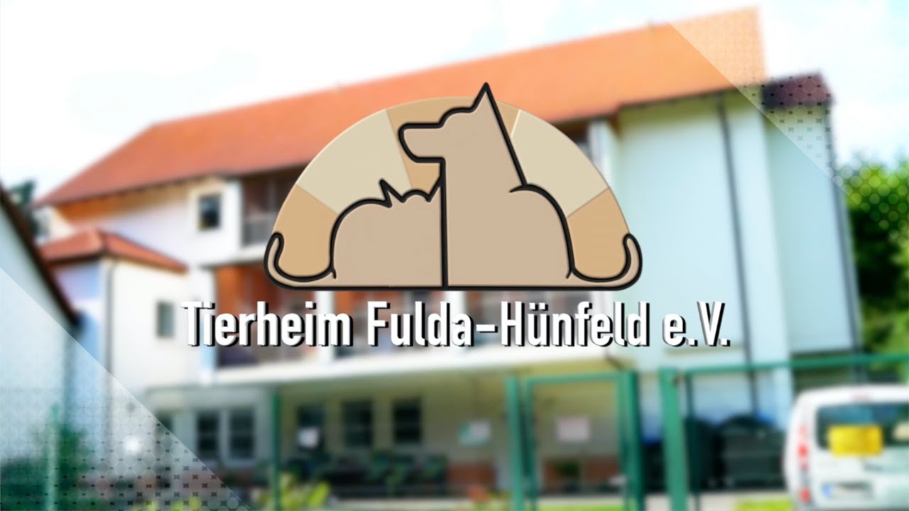 Tierheim Fulda -Hünfeld e.V Imagefilm
