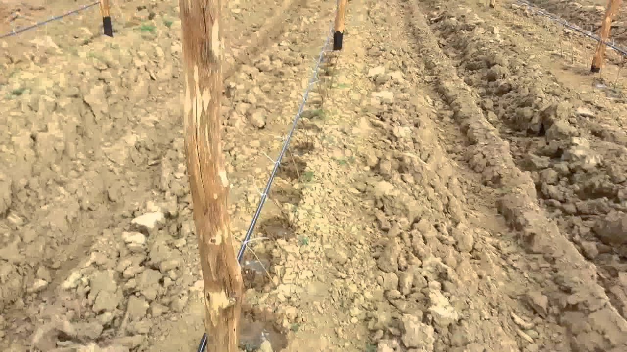 Drip irrigation - navodnjavanje - kap po kap Part 1