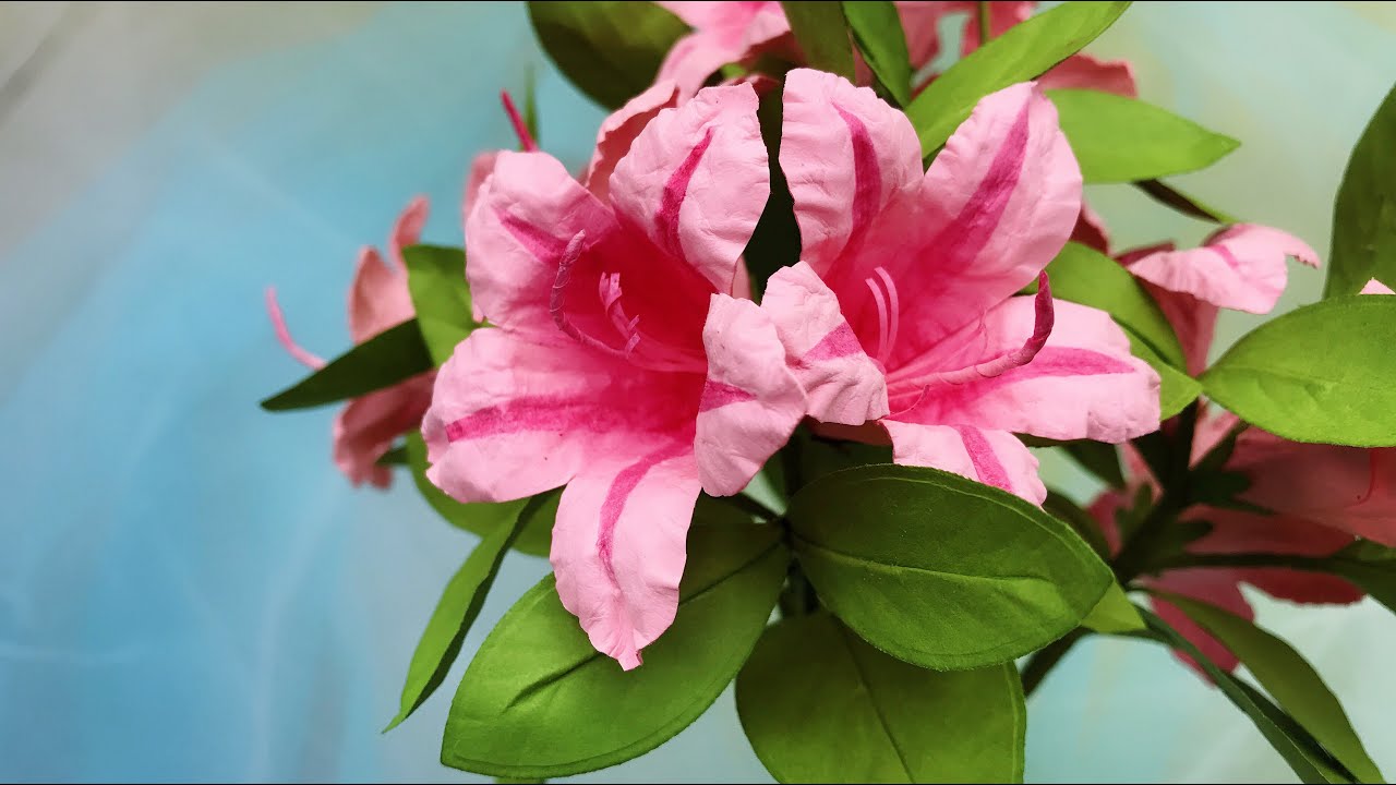 ABC TV | Как Сделать Бумажный Цветок Азалии - Учебник Ремесла